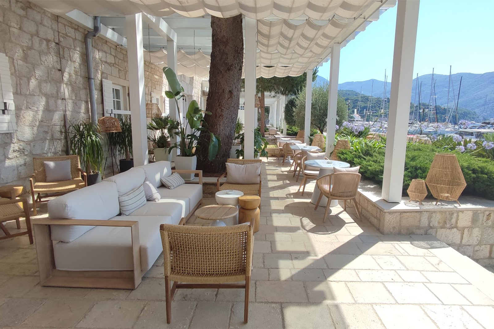 New shop collection our shop